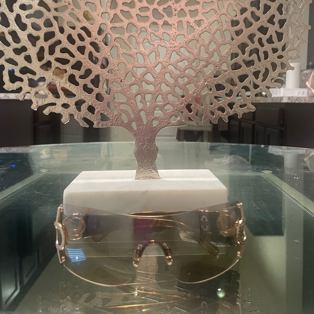 True Religion Sunglasses